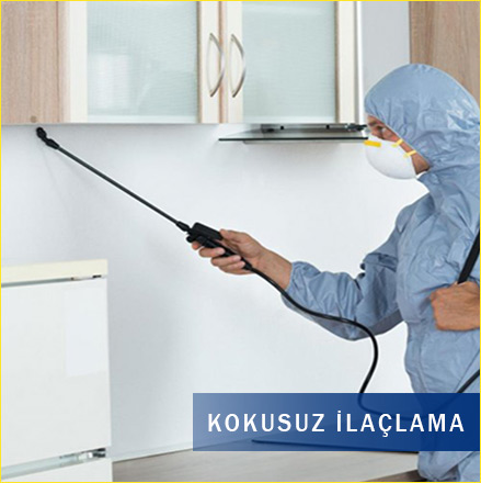 KOKr4u KOKr4u