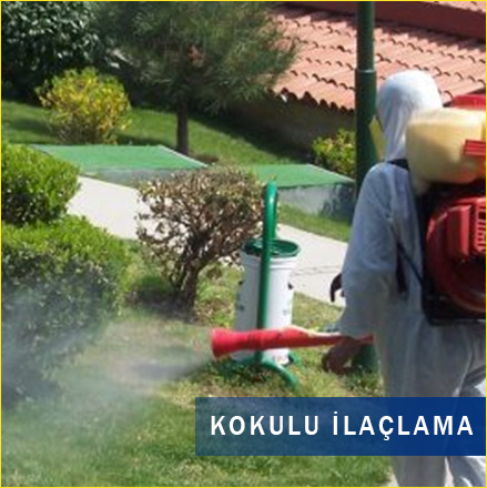 kokuluur4u kokuluur4u