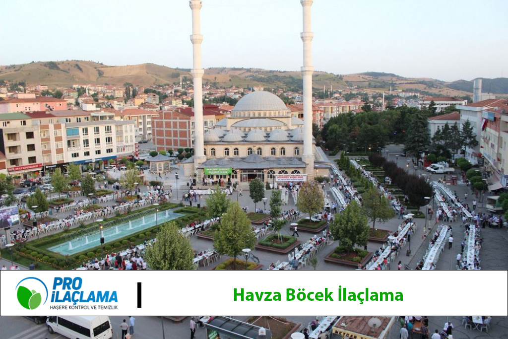 havza böcek ilaçlama